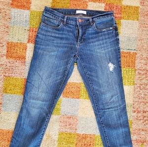 Ann Taylor Loft Jeans